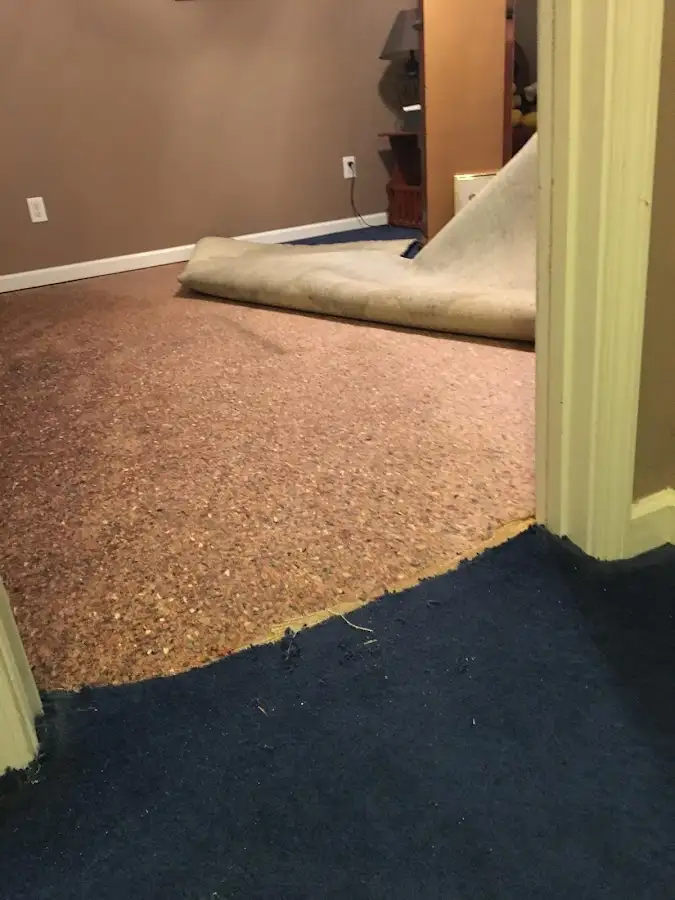 Carpet pad removal revealing water damage during Drying & Dehumidification in Albion