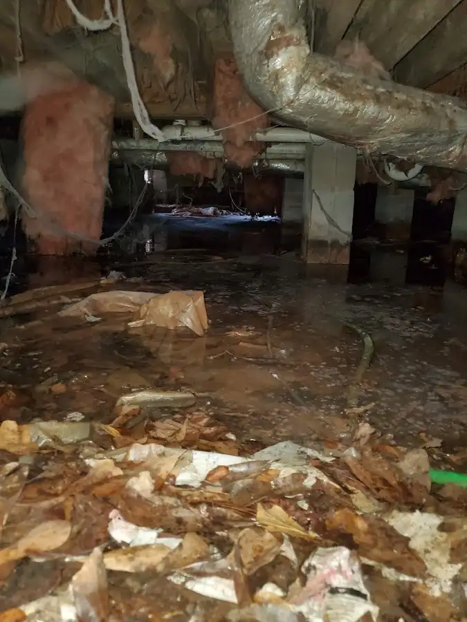 Crawl space flood assessment for Leak Detection & Repair in Albion