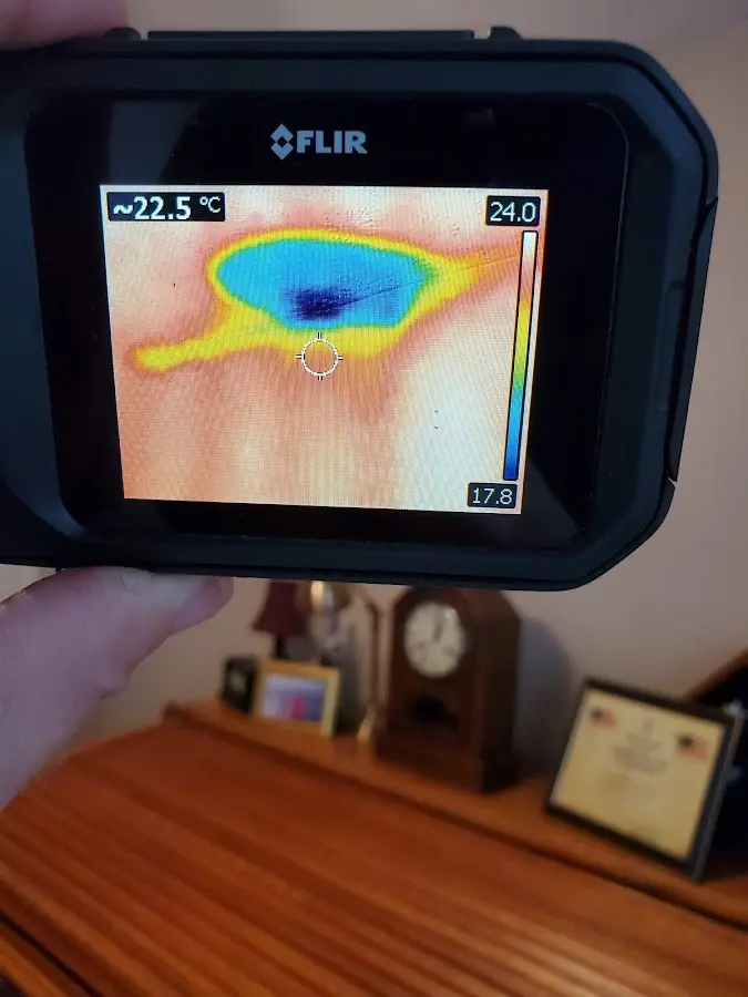 Thermal imaging inspection for water damage in Albion